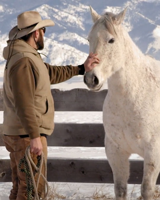 Side-Image-Support-The-Herd